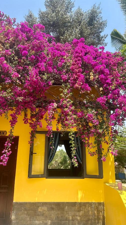 Bao Dien Guesthouse Bao Loc Exteriör bild